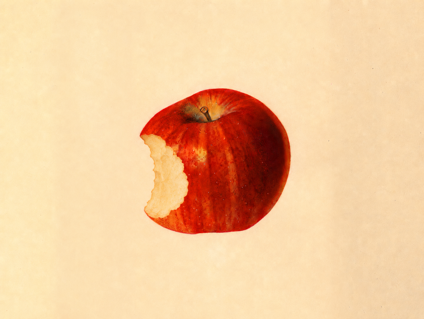Apple illustration
